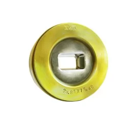 Tungsten Carbide Rectangle Die